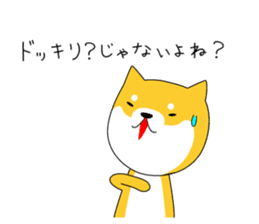 The faithful dog not a Shiba Inu sticker #4783086