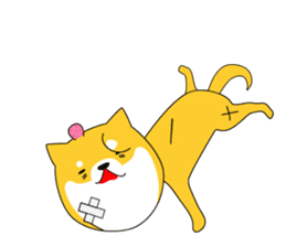 The faithful dog not a Shiba Inu sticker #4783090