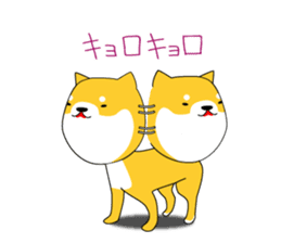 The faithful dog not a Shiba Inu sticker #4783091