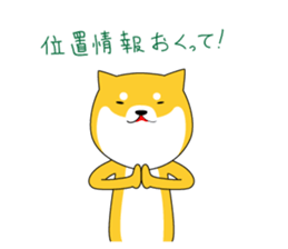 The faithful dog not a Shiba Inu sticker #4783098