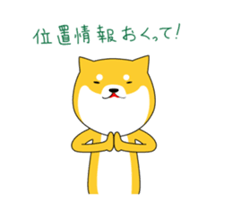 The faithful dog not a Shiba Inu sticker #4783098