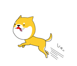 The faithful dog not a Shiba Inu sticker #4783101