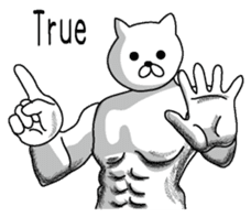 Muscle white cat English version sticker #4783622