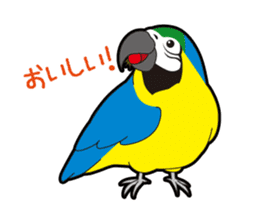 Bird Sticker 40 sticker #4786443