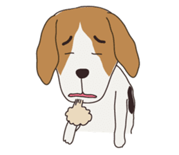 Beagle dog's sticker #4791392