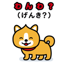 ChekeRaccho22 InuRaccho sticker #4793023