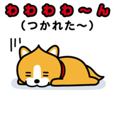 ChekeRaccho22 InuRaccho sticker #4793025