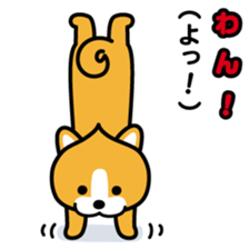 ChekeRaccho22 InuRaccho sticker #4793028