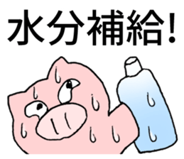 summer pig sticker #4798090