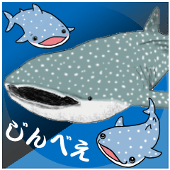 Whale shark