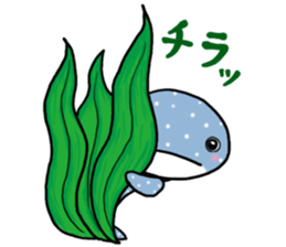 Whale shark sticker #4801165