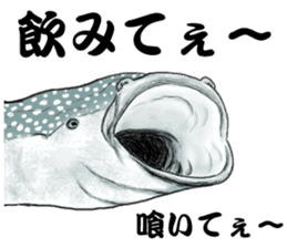 Whale shark sticker #4801169