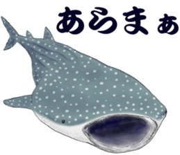 Whale shark sticker #4801174