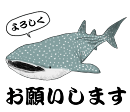 Whale shark sticker #4801180