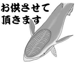 Whale shark sticker #4801187