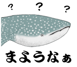 Whale shark sticker #4801192