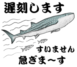 Whale shark sticker #4801196