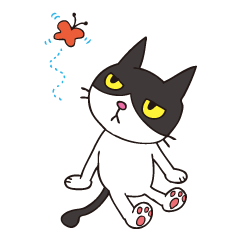 A little kitten,called Tsubu