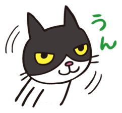 A little kitten,called Tsubu sticker #4801802