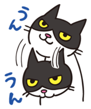 A little kitten,called Tsubu sticker #4801803