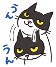 A little kitten,called Tsubu sticker #4801803