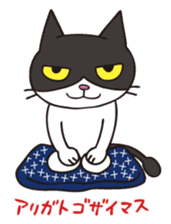 A little kitten,called Tsubu sticker #4801806