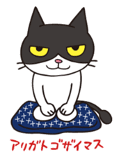A little kitten,called Tsubu sticker #4801806