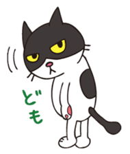 A little kitten,called Tsubu sticker #4801807