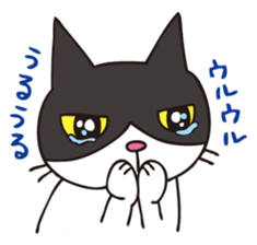 A little kitten,called Tsubu sticker #4801812