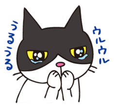 A little kitten,called Tsubu sticker #4801812