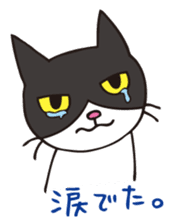 A little kitten,called Tsubu sticker #4801813