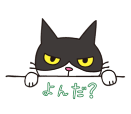 A little kitten,called Tsubu sticker #4801835