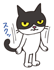 A little kitten,called Tsubu sticker #4801836
