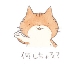 Cat in Yamaguchi sticker #4803013