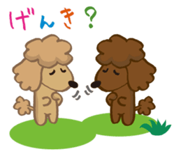 The world's cutest poodle sticker #4806241