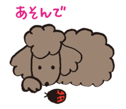 The world's cutest poodle sticker #4806242