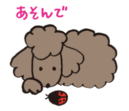 The world's cutest poodle sticker #4806242