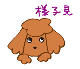 The world's cutest poodle sticker #4806246