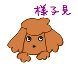 The world's cutest poodle sticker #4806246