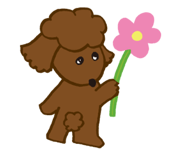 The world's cutest poodle sticker #4806248