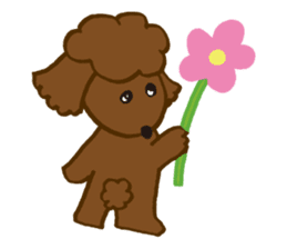 The world's cutest poodle sticker #4806248