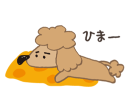 The world's cutest poodle sticker #4806249