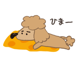 The world's cutest poodle sticker #4806249