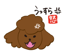 The world's cutest poodle sticker #4806253