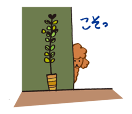 The world's cutest poodle sticker #4806255