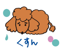 The world's cutest poodle sticker #4806263