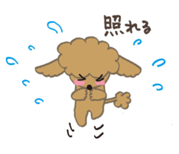 The world's cutest poodle sticker #4806265