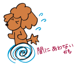 The world's cutest poodle sticker #4806269