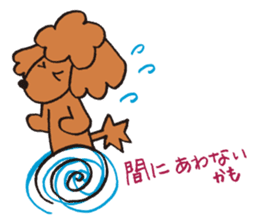 The world's cutest poodle sticker #4806269