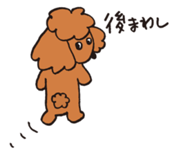 The world's cutest poodle sticker #4806271
